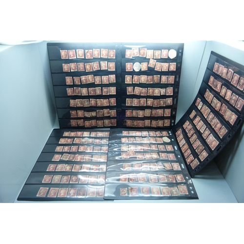 783 - Five double sided stock sheets of stamps, mostly penny reds