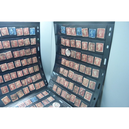 784 - Five double sided stock sheets of stamps, mostly penny reds