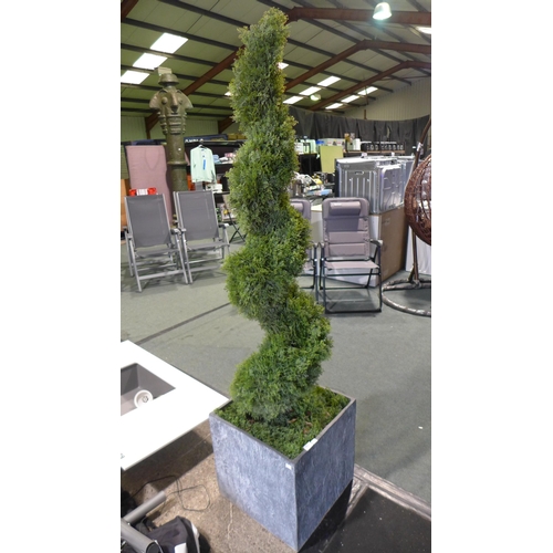 3041 - 6ft Cedar Spiral Topiary (Damaged), original RRP £169.99 + VAT (286-177) * This lot is subject to VA... 