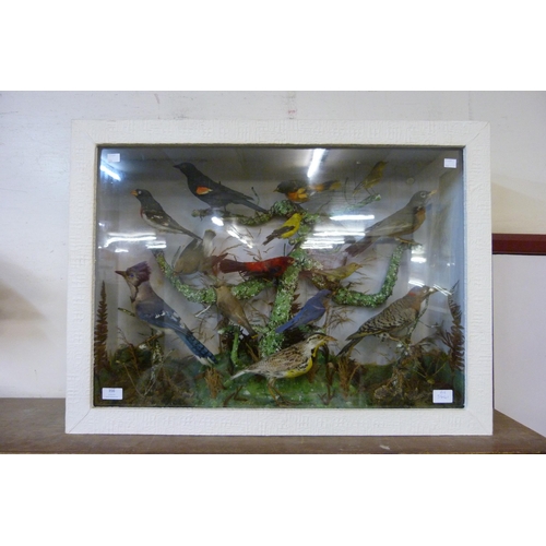 356 - A Victorian cased taxidermy bird diorama