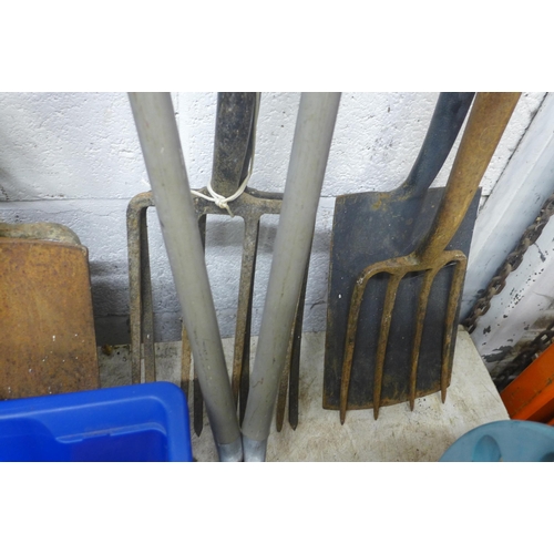 2394 - Qty. of gardening tools inc. four pitch forks, two spades and lawn edging cutters