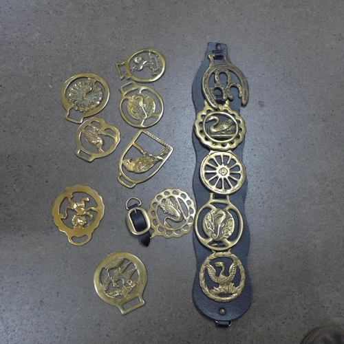 1098 - A small collection of horse brasses