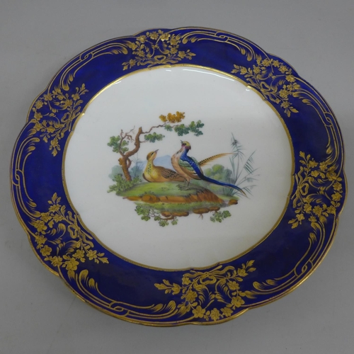 623 - A Sevres cabinet plate decorated with pheasants