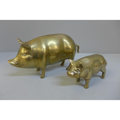 647 - Two brass pigs, one in the form of a money box