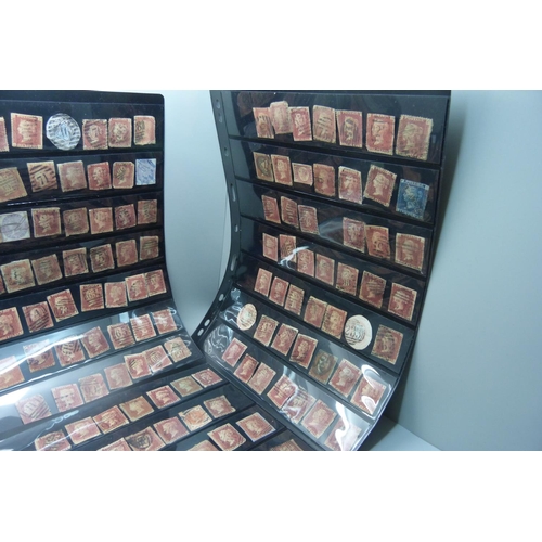 850 - Stamps; five double sided stock sheets, eight sides with penny reds and two sides with other stamps