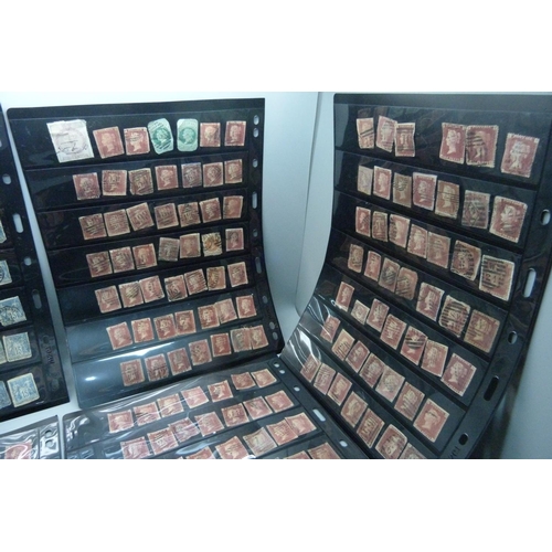 850 - Stamps; five double sided stock sheets, eight sides with penny reds and two sides with other stamps