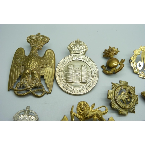 874 - Assorted cap and other badges including Death Or Glory, Boer War Natal Mounted Rifles, a silver RLI ... 