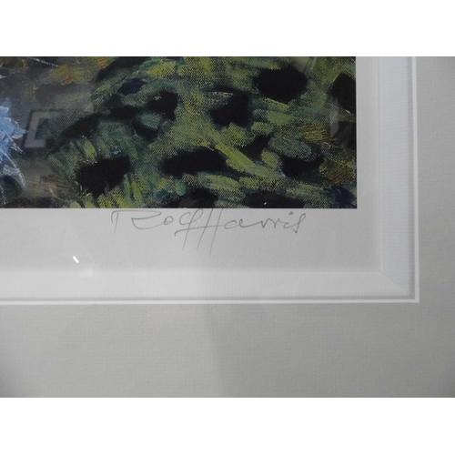 308 - A signed Rolf Harris limited edition print, Lazing in the Sun, no. 274/395, framed