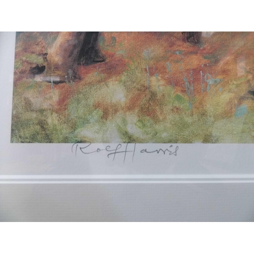 310 - A signed Rolf Harris limited edition print, Tsavo Orphans, Kenya, no. 372/695, framed