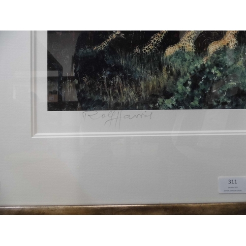 311 - A signed Rolf Harris limited edition print, Giraffes, no. 3/10, framed