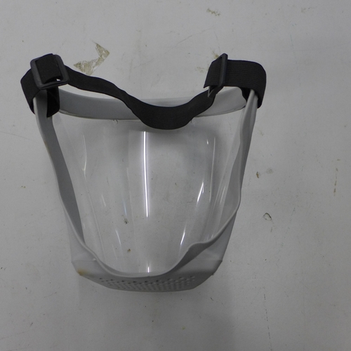 2089 - 10 dust masks