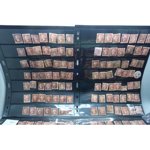 1298 - Stamps; five double sided stock sheets of penny reds