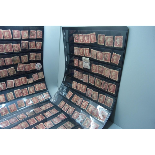 1298 - Stamps; five double sided stock sheets of penny reds