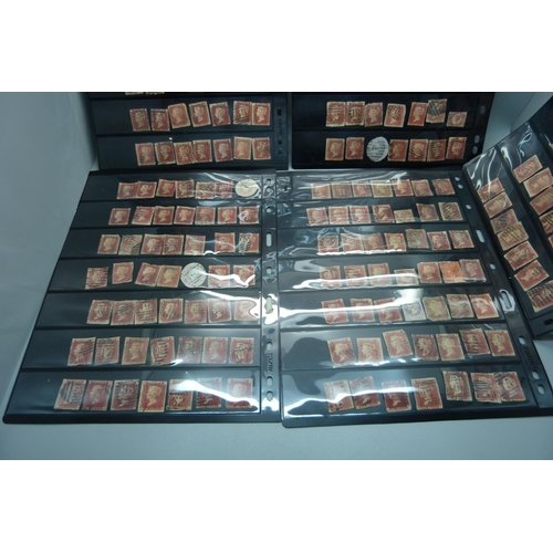 1298 - Stamps; five double sided stock sheets of penny reds