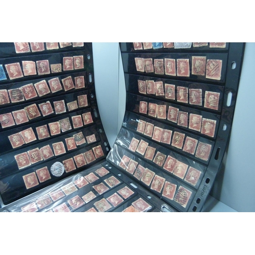 1298 - Stamps; five double sided stock sheets of penny reds