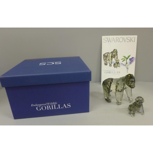 630 - A Swarovski Endangered Wildlife crystal gorilla and infant, boxed