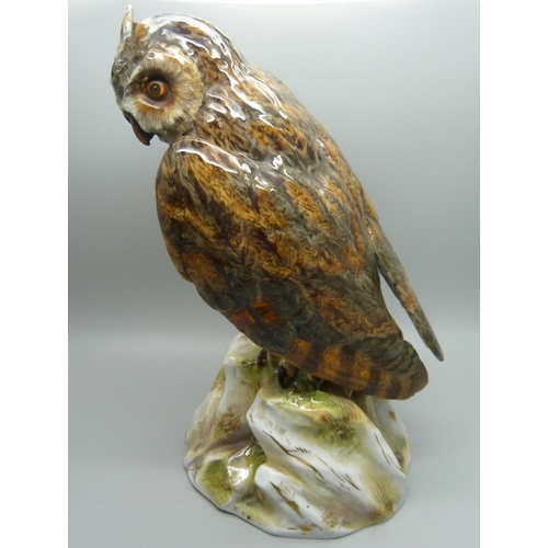 703 - A Dresden figure of a long-eared owl, 26cm, a/f