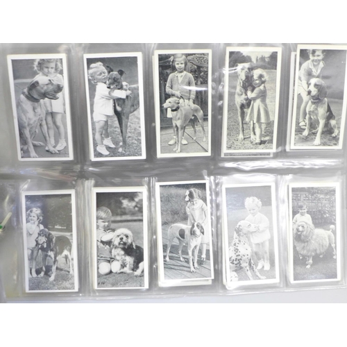 629 - A 1936 Carreras Dogs and Friend cigarette cards (full set of 50), 23 Doneella cigar cards, 24 Whitbr... 