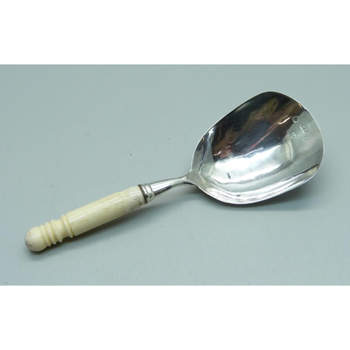 1113 - A William IV silver caddy spoon with bone handle, Birmingham 1830, makers Taylor & Perry