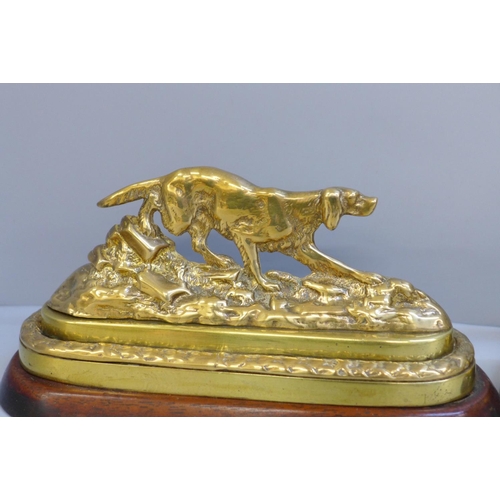 626 - A pair of Victorian brass gun dogs on mahogany bases with traces of original gilding, 21cm