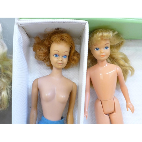 685 - Vintage Mattel Barbie/Midge/Skipper dolls, case and Special Edition Reproduction Barbie (boxed)