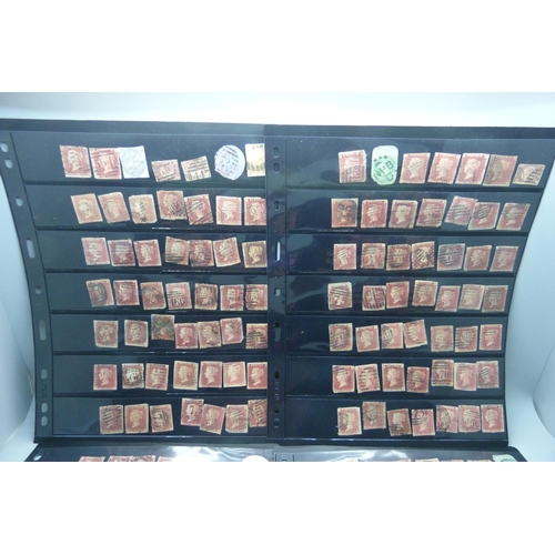 816 - Stamps;- ten double sided stock sheets, mainly penny reds