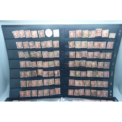 816 - Stamps;- ten double sided stock sheets, mainly penny reds