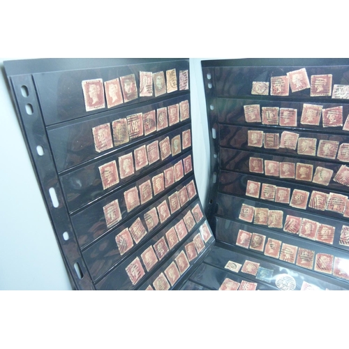 816 - Stamps;- ten double sided stock sheets, mainly penny reds