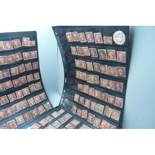 816 - Stamps;- ten double sided stock sheets, mainly penny reds