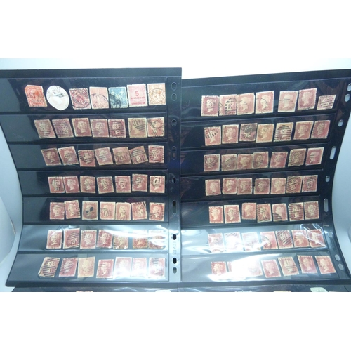 816 - Stamps;- ten double sided stock sheets, mainly penny reds