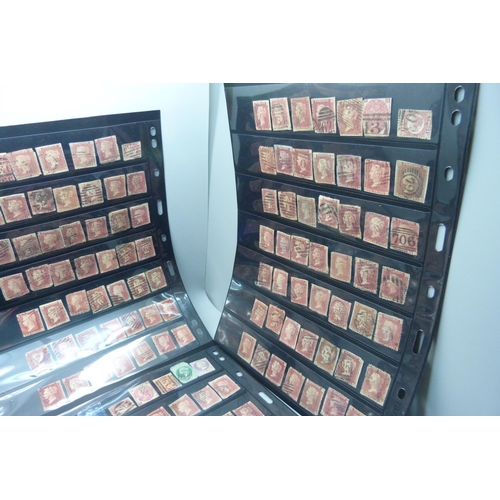 816 - Stamps;- ten double sided stock sheets, mainly penny reds