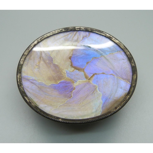 867A - A butterfly wing dish, 94mm