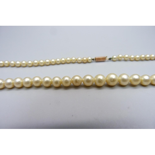 1036 - A string of faux pearls with 9ct gold fastener