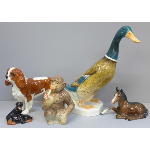 630 - A collection of five Beswick animals including Chimpanzee with pipe, duck and spaniel