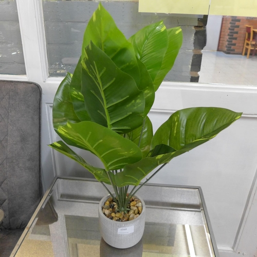 1310 - A large tropical ornamental green plant in a cement pot - H57 cms (63084407)