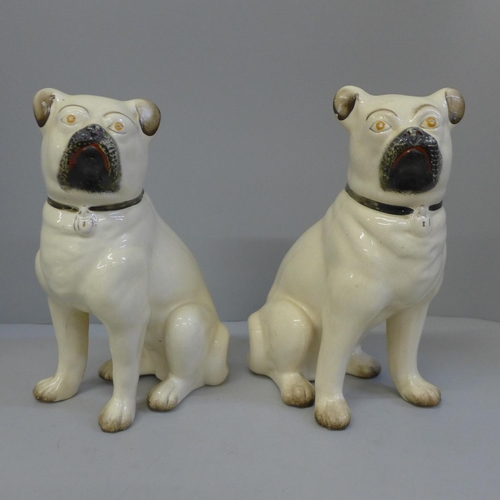 613 - A pair of pottery models of pugs, 24cm