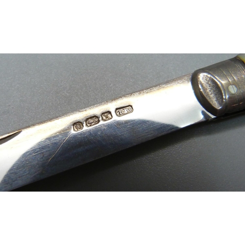 850 - A Victorian silver and mother of pearl fruit knife, Sheffield 1890, Thomas Marples