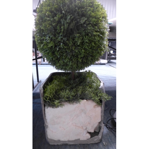 3346 - Triple Cedar Ball Topiary Tree In Pot - (Damaged Pot) Original RRP £174.99 + vat  (294-158)    * Thi... 