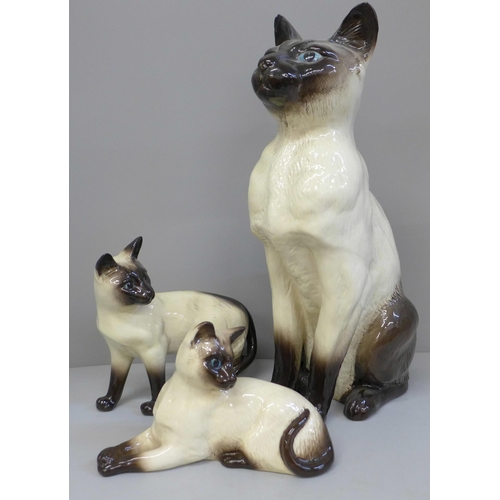 607 - Three Beswick Siamese cats, one large and two medium, largest with chip to ear