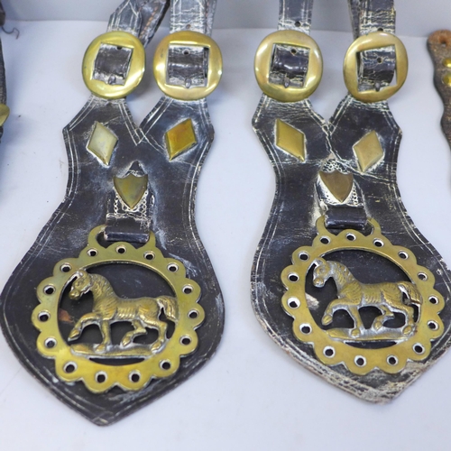 684 - A collection of early 20th Century horse brasses on leather straps