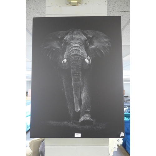 1388 - A canvas print, Mario Moreno (Ngorongoro Bull) 60X80  (WDC9641923)