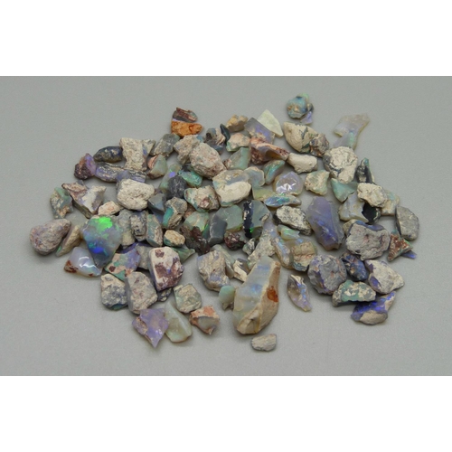 1004 - Assorted uncut opals