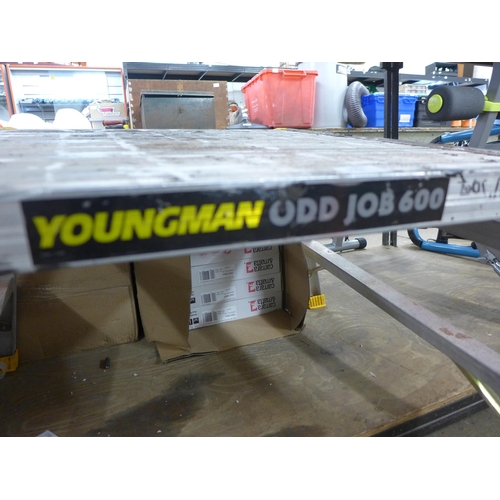 2359 - Youngman folding Odd Job 600