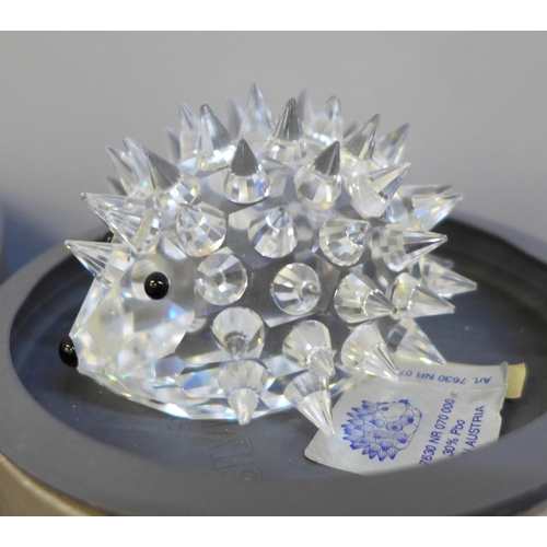 701 - Ten Swarovski glass animals including a hedgehog, beaver, dog, seal, cat etc., boxed