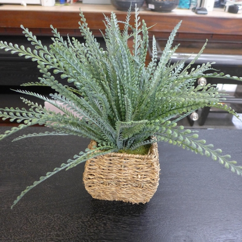 1304 - An artificial fern in a seagrass basket, H 43cms (67452713)   #