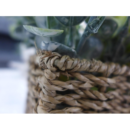 1385 - A display of artificial green ferns in a seagrass basket, W 20cms (67450313)   #