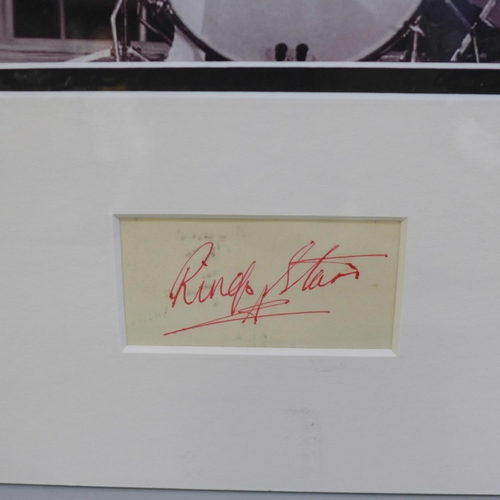 608 - The Beatles, Ringo Starr autographed display, no COA