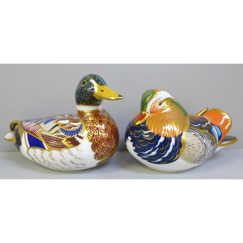 653 - Two Royal Crown Derby duck paperweights, Mandarin Duck and Mallard, both with gold stoppers