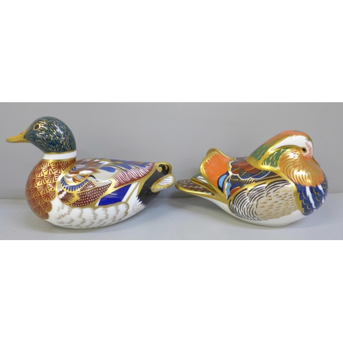 653 - Two Royal Crown Derby duck paperweights, Mandarin Duck and Mallard, both with gold stoppers