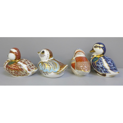 654 - Four Royal Crown Derby paperweights; Collectors Guild Duckling, Teal Duckling, Bakewell Duckling and... 